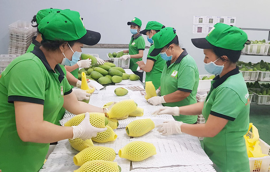 Les exportations de produits agricoles augmenteraient au 2e semestre