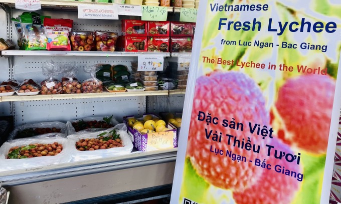 Le litchi de Bac Giang vendu 28 USD kg aux États-Unis