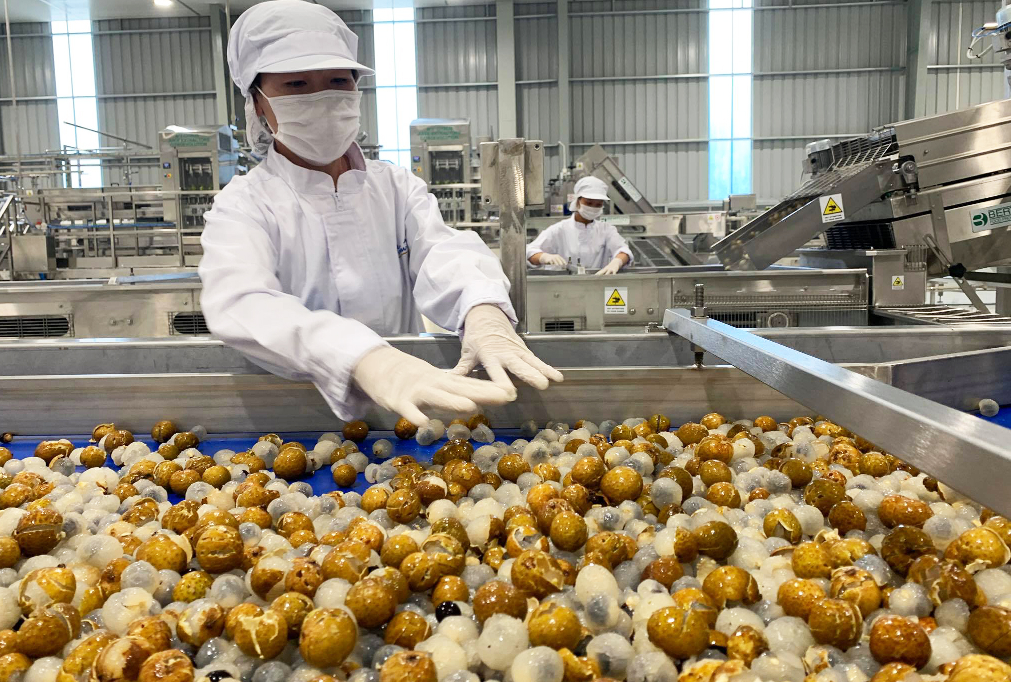 2023 Le secteur des fruits et légumes transformés vise 1,2 milliard de dollars d’exportation