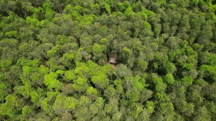 Plus de 1 450 milliards de dongs pour développer le tourisme durable au parc national d U Minh Ha