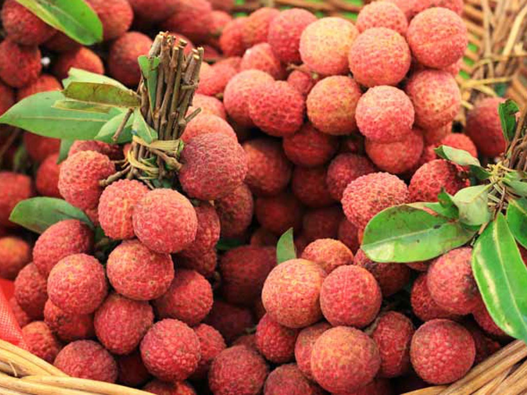 Le litchi vietnamien accède aux marchés internationaux par voie aérienne