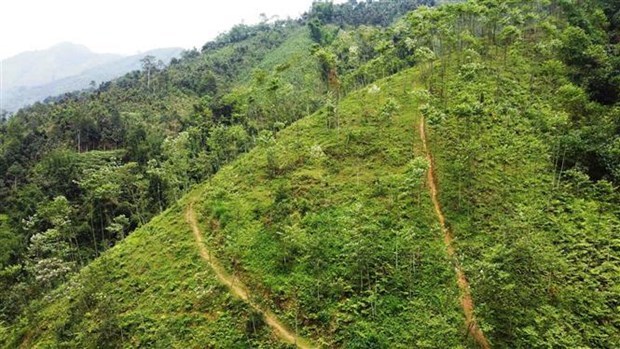 Le Vietnam et la BM unis sur la réponse au réchauffement pour une croissance verte