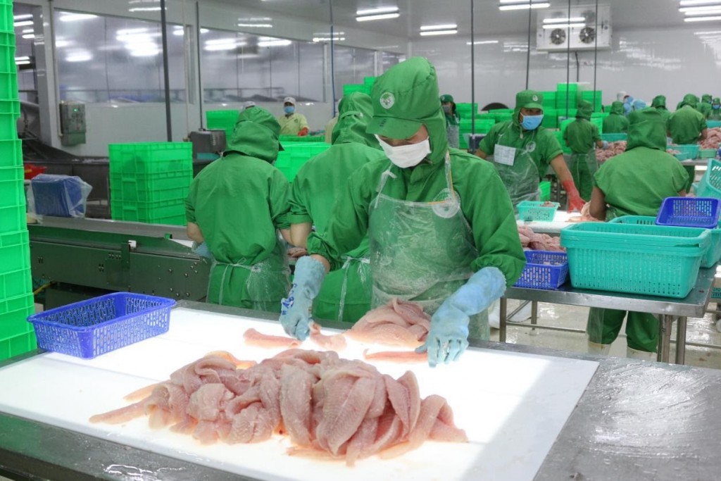Les ventes de pangasius vers l’Allemagne maintiennent une croissance à deux chiffres