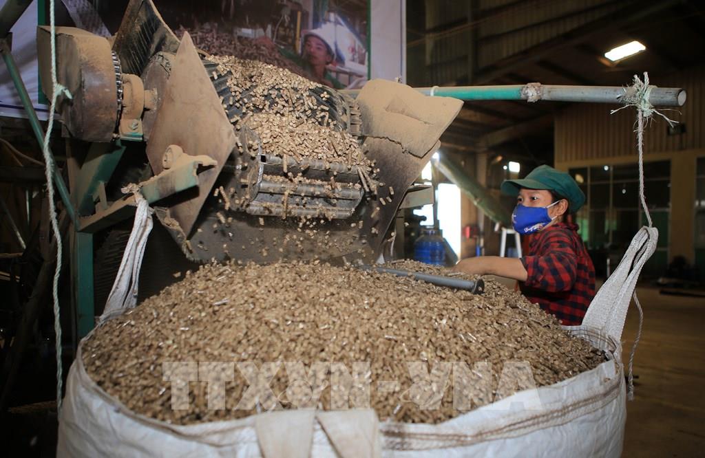 Le Vietnam exporte principalement des granulés de bois vers la R de Corée et au Japon