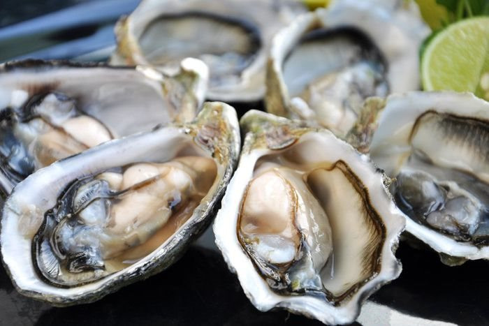Les exportations d huîtres et de concombres de mer ont explosé