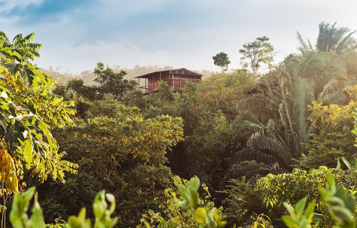 Top des destinations au Vietnam pour des séjours plus respectueux de l environnement en 2023