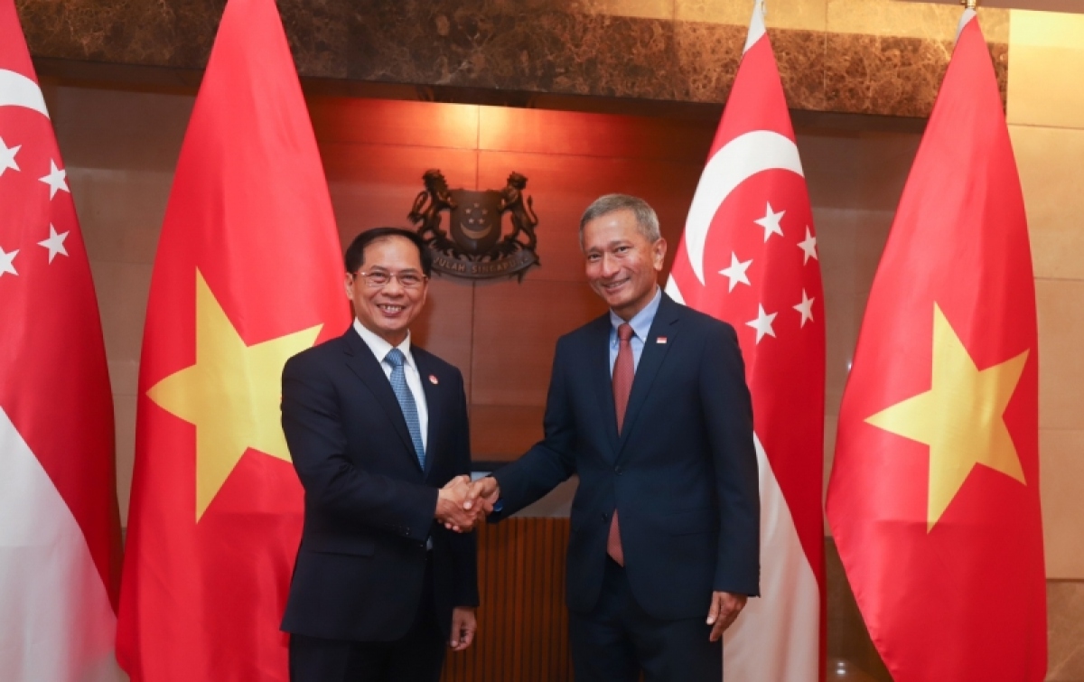 Le ministre des Affaires étrangères Bui Thanh Son en visite officielle à Singapour