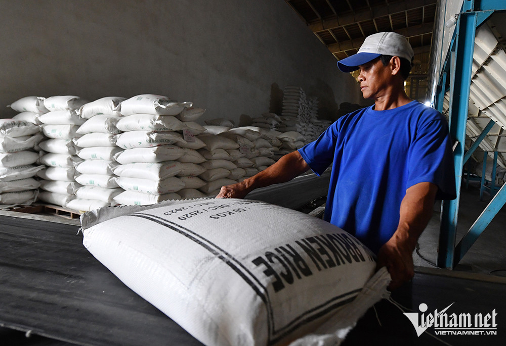 Le Vietnam bénéficiera-t-il des interdictions d exportation des principaux producteurs de riz