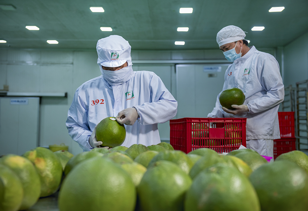 Stimuler les exportations vietnamiennes vers les États-Unis