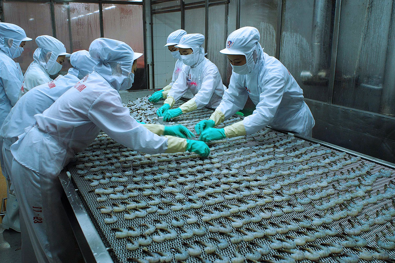 Le Vietnam, deuxième exportateur mondial de crevettes
