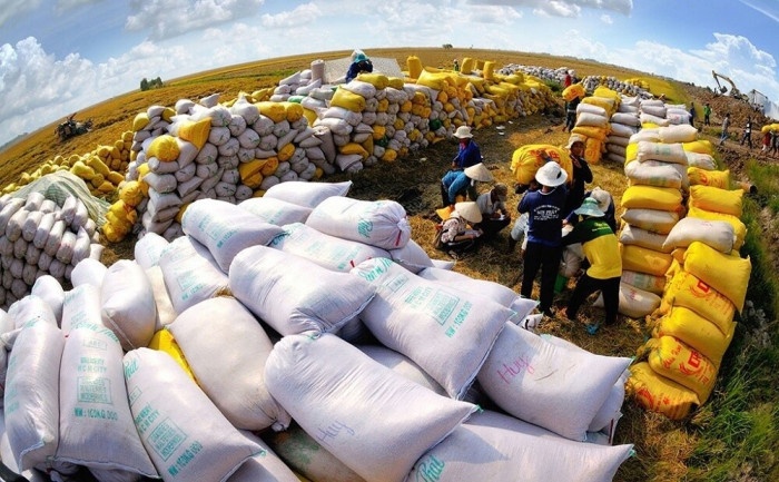 Les exportations de riz rapportent 2,4 milliards USD, en hausse de 28