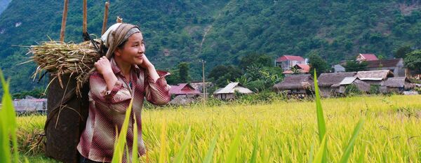 La session du bilan alimentaire de l ONU met l accent sur les défis du système alimentaire