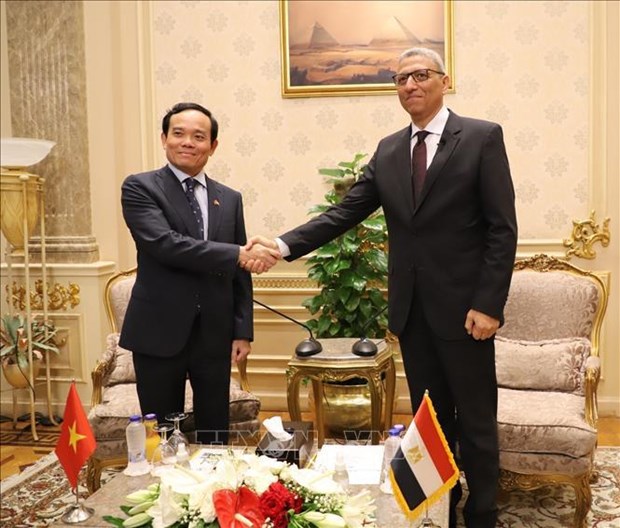 Excellentes opportunités de promouvoir la coopération économique entre le Vietnam et l Egypte