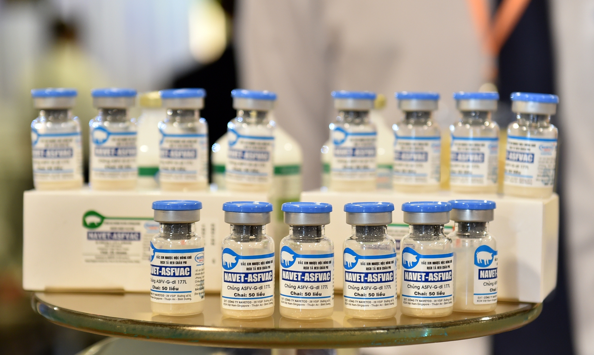 Exportation des vaccins vietnamiens contre la PPA la presse sud-coréenne en parle