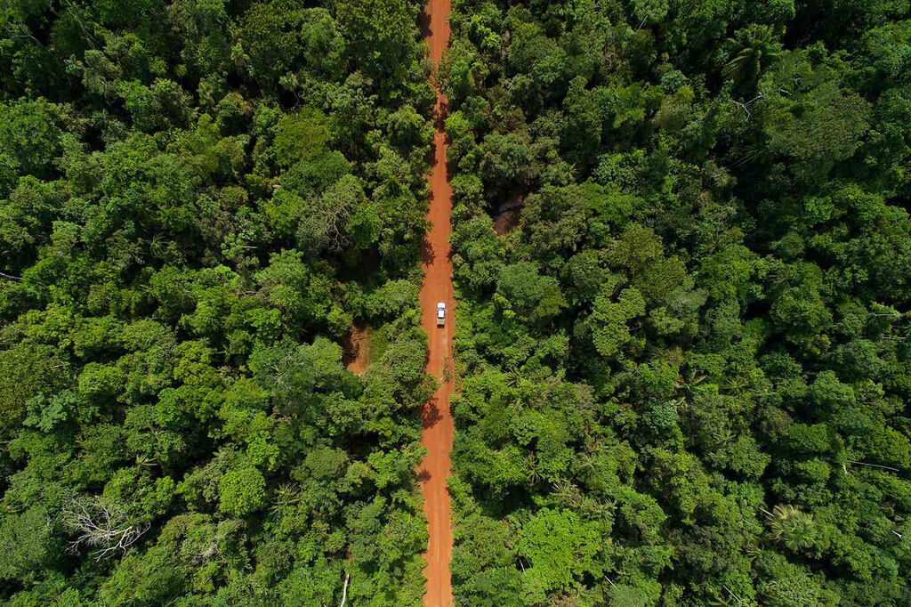 Les pays amazoniens établissent un programme commun contre la déforestation