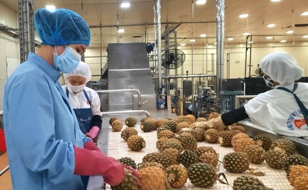 L Autriche, un marché prometteur pour les fruits vietnamiens
