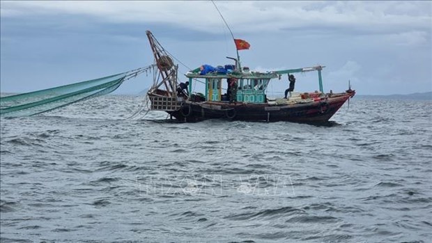 Quang Ninh confisquera les véhicules et produits de pêche illégaux à partir du 1er septembre