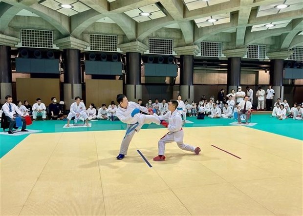 Tournoi de karaté vietnamien au Japon
