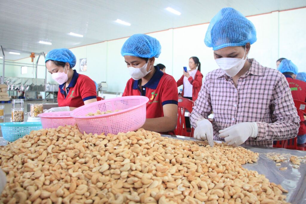 Forum économique et commercial Vietnam - Israël à Hanoï