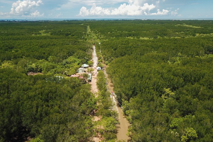 La forêt de mangrove de Can Gio est proposée pour devenir un site Ramsar