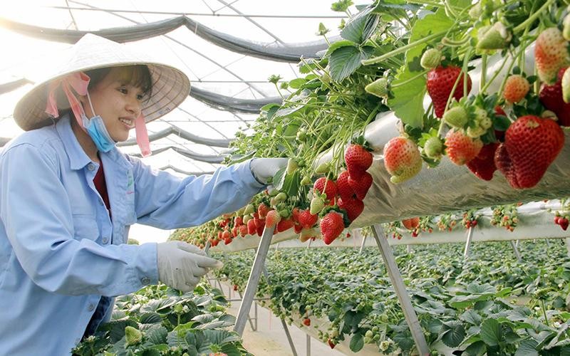 Les informations marquantes du 25 août