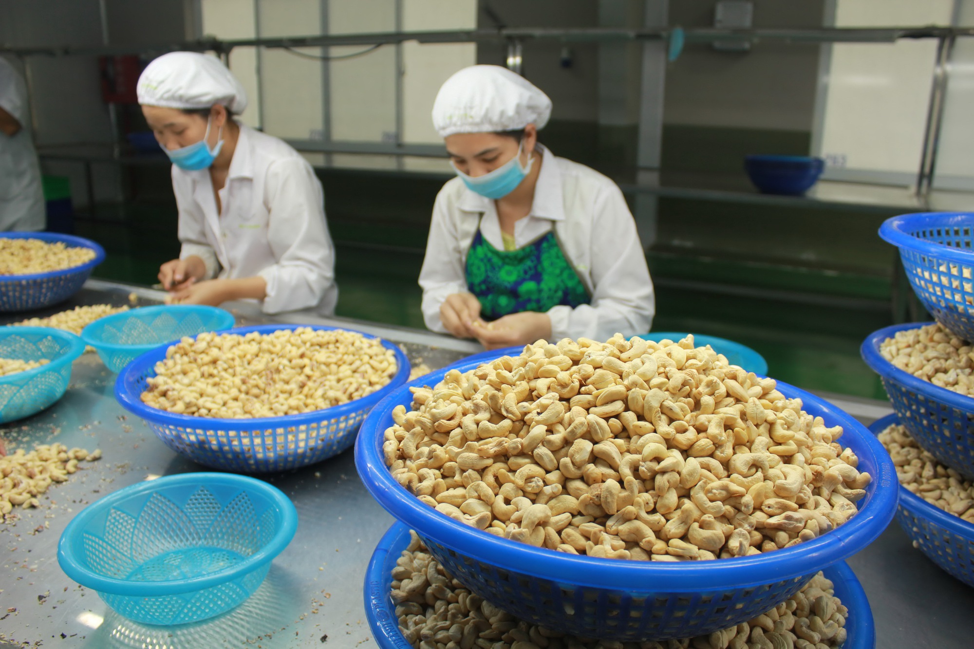 Forte relance des exportations de nombreux produits agricoles