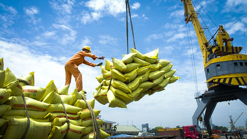 Les exportations nationales de riz en 8 mois atteignent un niveau record