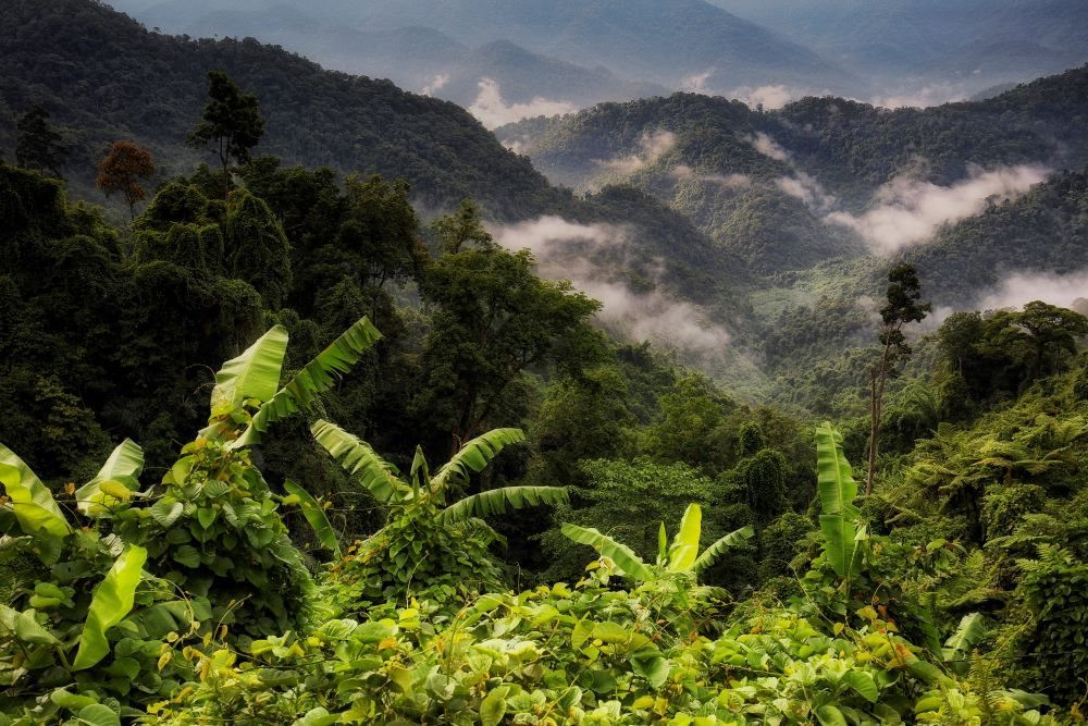 Promouvoir les investissements axés sur la nature pour protéger les paysages du centre de Truong Son