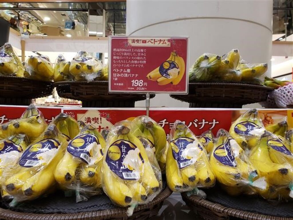 La JICA aide à affirmer la position des produits agricoles vietnamiens