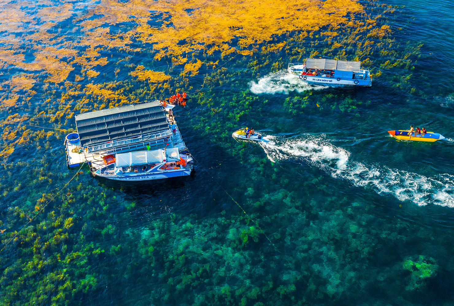 Promouvoir les croisières internationales dans les eaux vietnamiennes