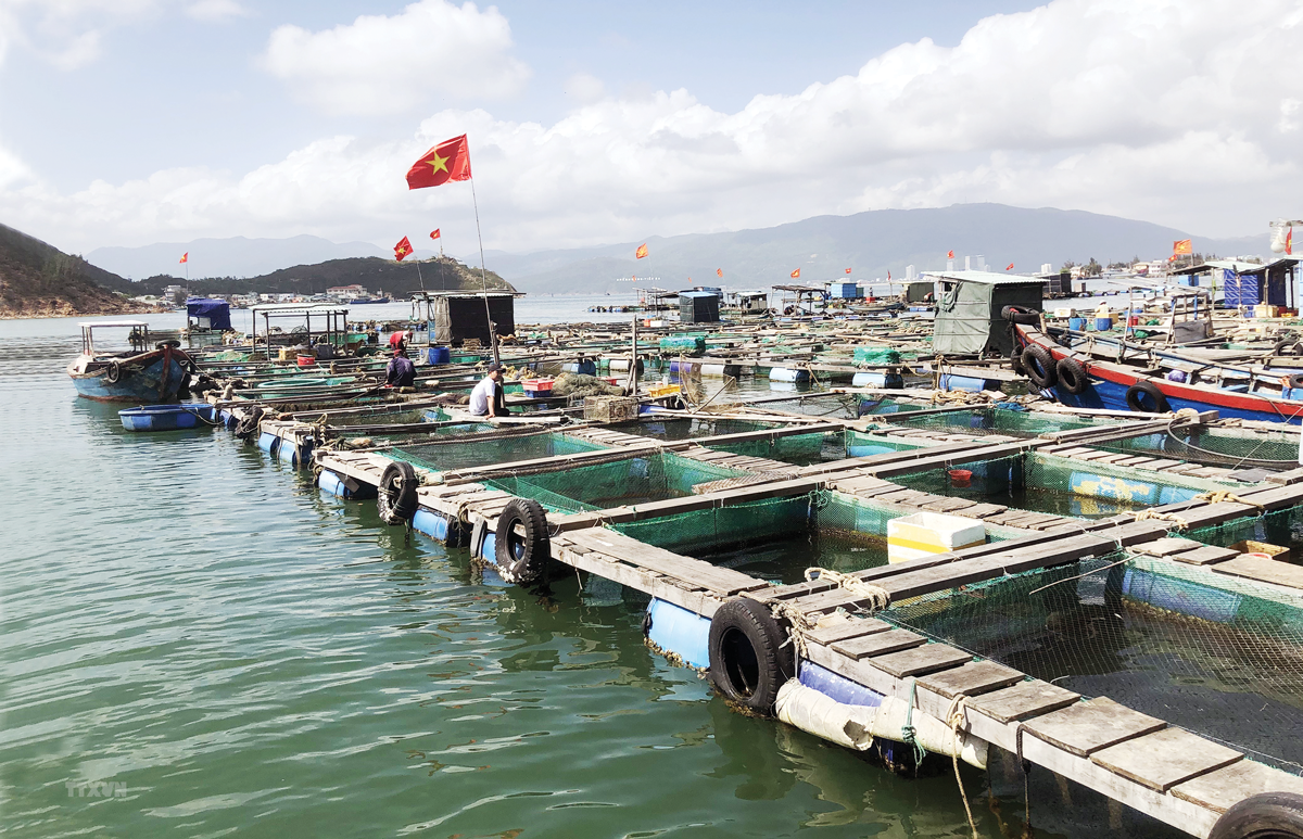 L’aquaculture vietnamienne occupe la première place sur la carte du monde