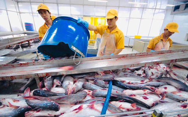 Les exportations de produits aquatiques atteignent leur apogée