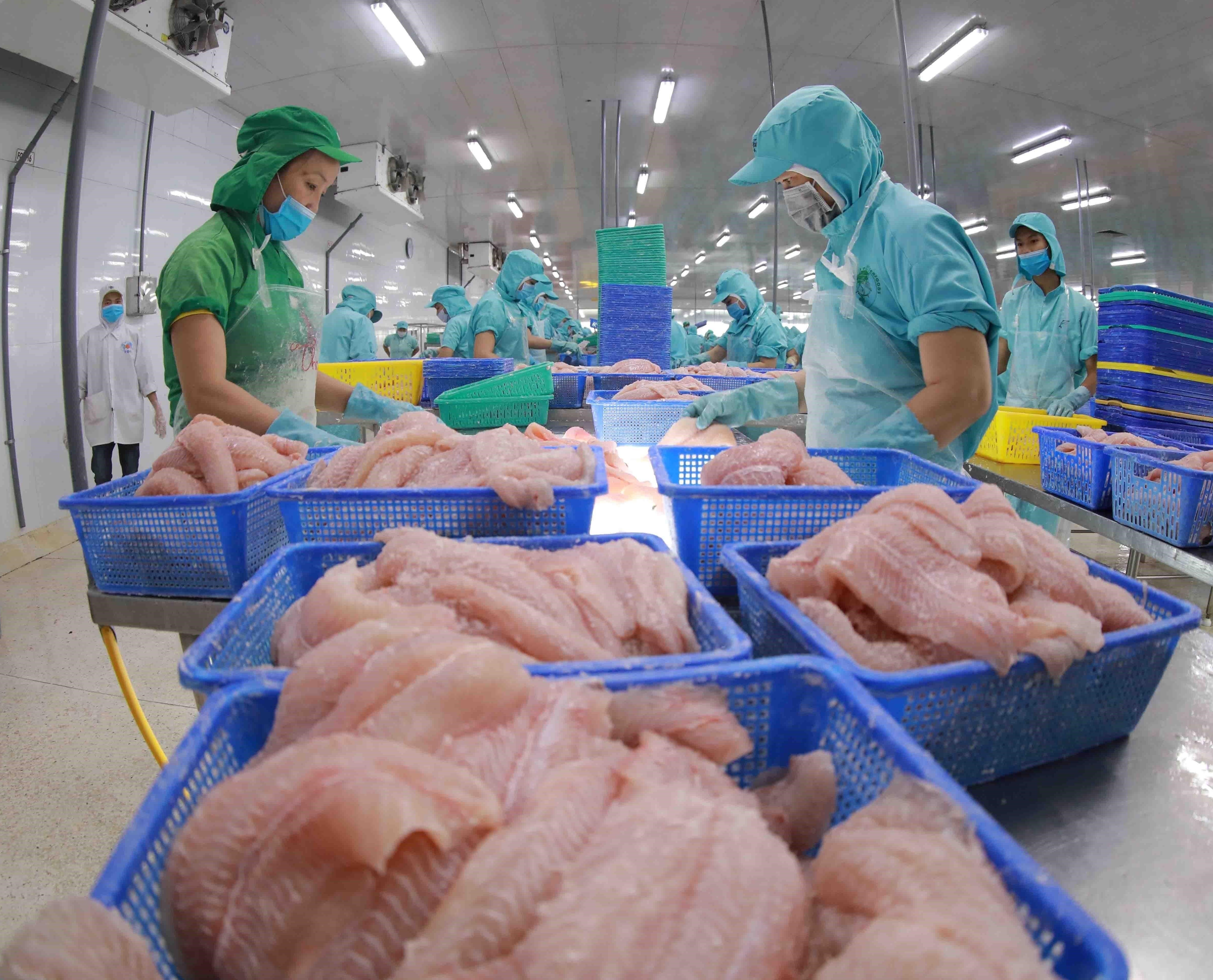 Importations de pangasius vietnamiens le Canada classé au 2e rang au sein du CPTPP
