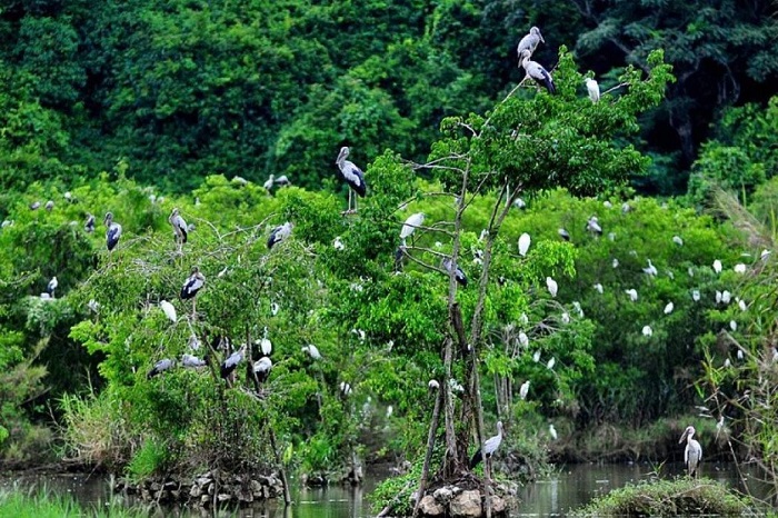 Quang Tri renforce les travaux de la conservation de la biodiversité