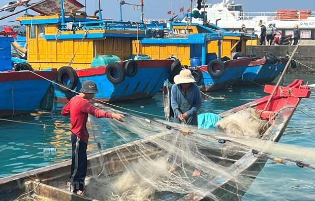 La province de Tien Giang redouble des efforts contre la pêche INN