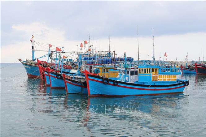 Ninh Thuan développe la pêche durable et responsable
