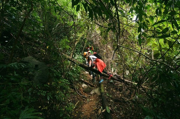 Les arrivées de touristes à Quang Binh ont été multipliées par 2 en neuf mois