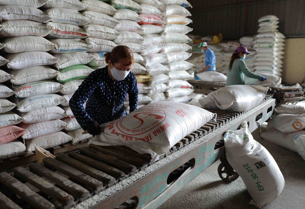 Exportations de riz le Vietnam établit un nouveau record