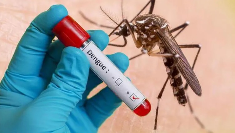 Le Vietnam participera à l’essai d’un vaccin contre la dengue
