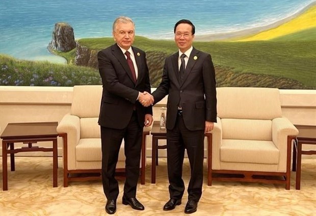 Le président Vo Van Thuong rencontre son homologue de l Ouzbékistan