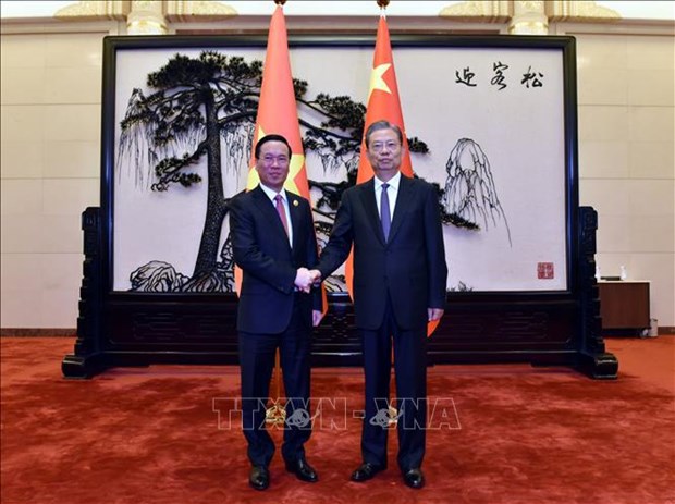 Le président vietnamien a une entrevue avec le président de l APN de Chine