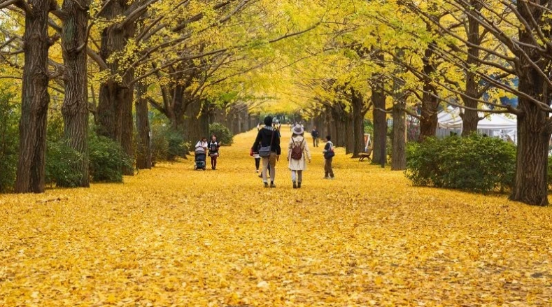 Le Japon délivrera des visas électroniques aux groupes de touristes vietnamiens