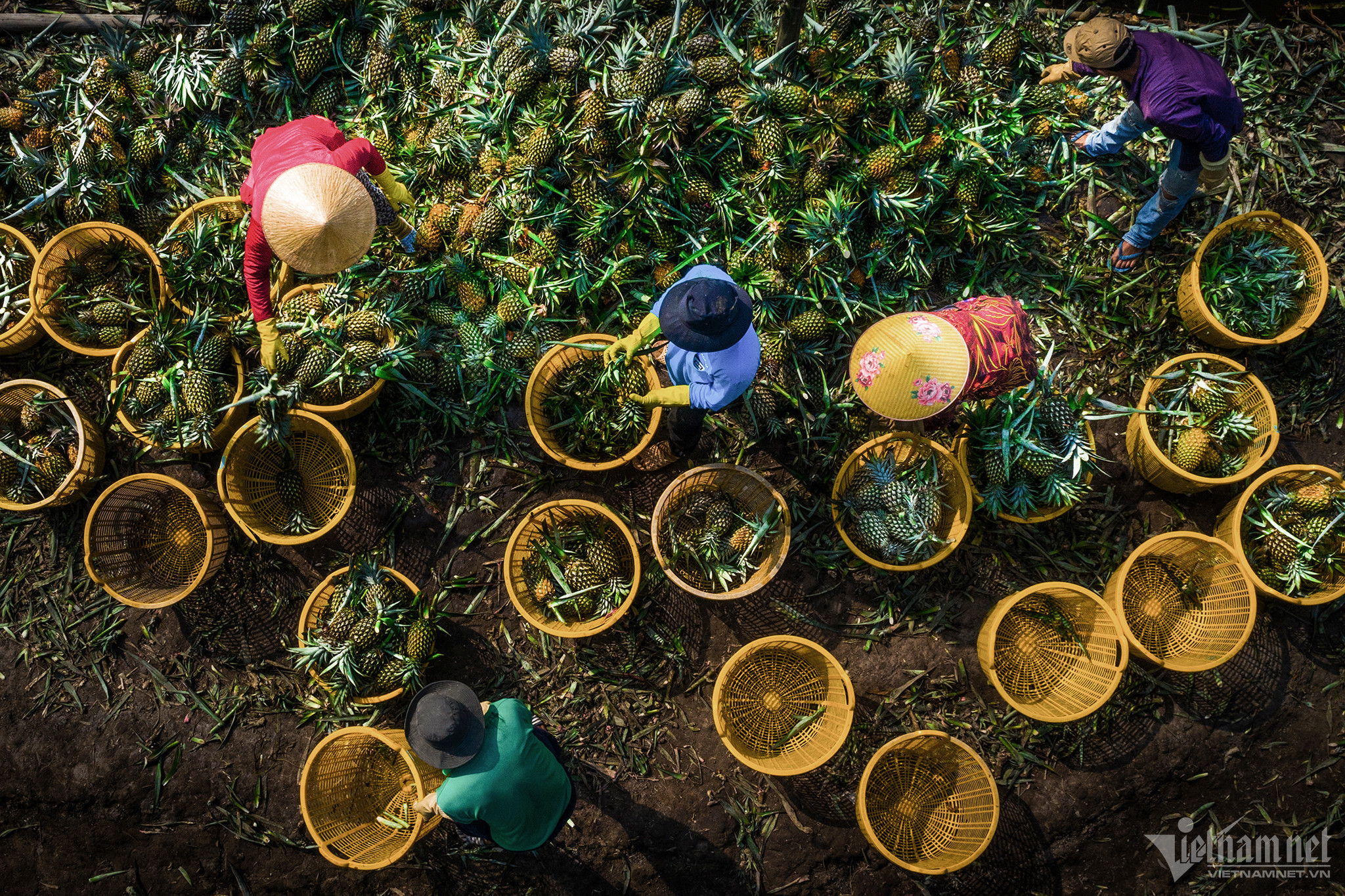 La Chine représente plus de 22 des exportations de produits agricoles pendant les neuf premiers mois