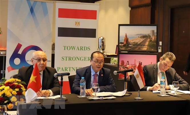 Le Vietnam et l’Égypte s’échangent sur l’attraction de la finance verte