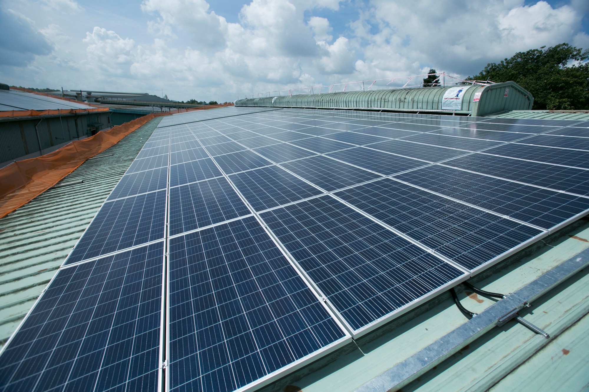 Vietnam-États-Unis La coopération s’oriente vers Net Zero