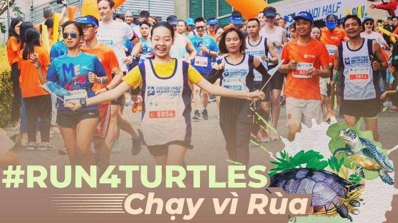 Une course prévue à Hanoi pour sensibiliser à la protection des tortues marines