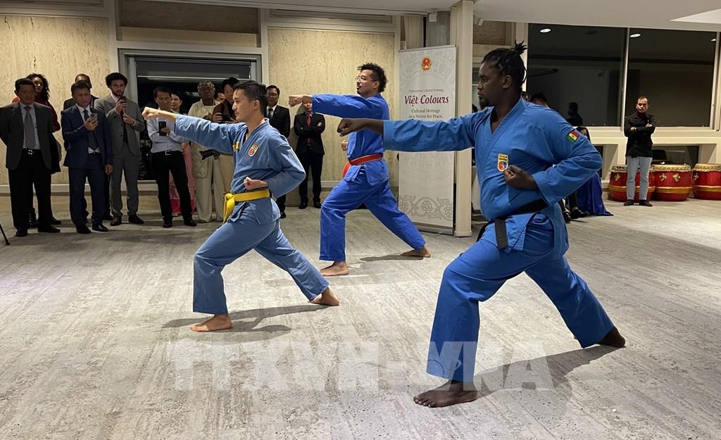 Les arts martiaux vietnamiens font forte impression au siège de l UNESCO