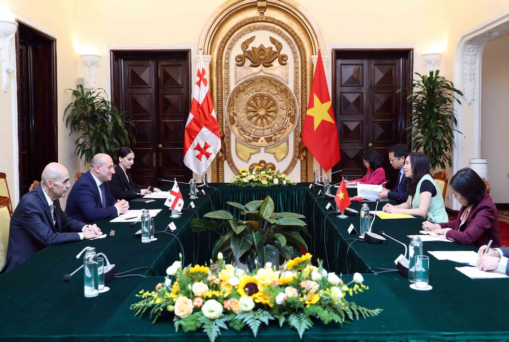 Le Vietnam veut développer sa coopération multiforme avec la Géorgie