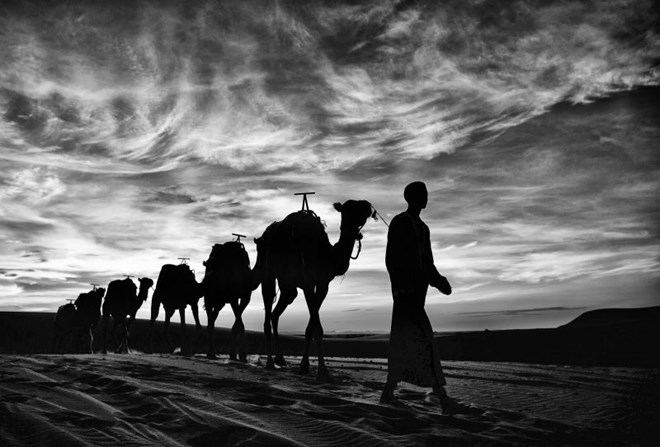 Un photographe vietnamien remporte cinq prix en Australie