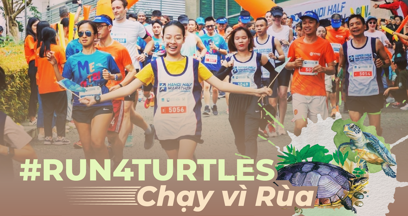 Une course à pied prévue en décembre pour protéger les tortues en voie de disparition